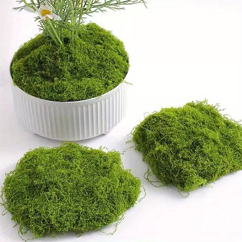 สีเขียวปลอม Moss งานฝีมือ DIY  - Terrarium Moss Art บทวิจารณ์และราคา